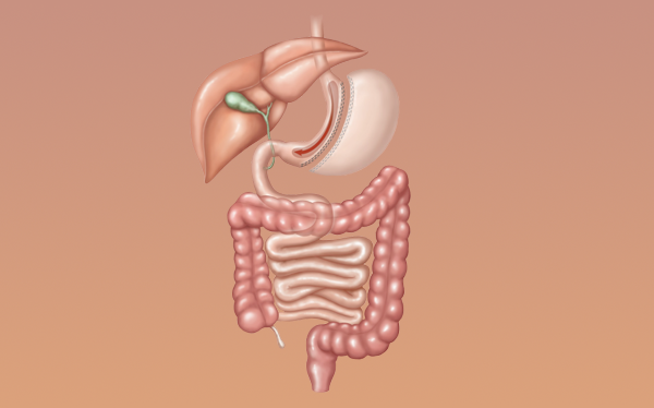 Best supplements for acid reflux – probiotics, aloe vera, licorice root