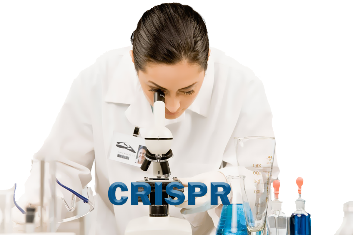How is CRISPR Performed?, Advantages, Disadvantages, Efficacy, Conclusion