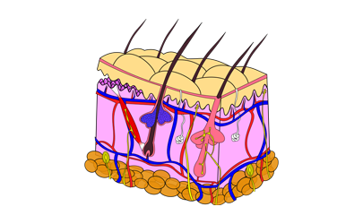 is gene therapy safe