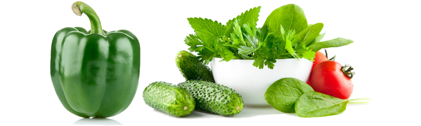 liver and gut health connection